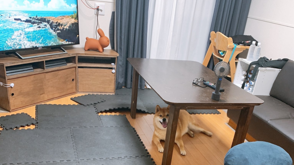 住宅ローンを申し込みしたときのわが家