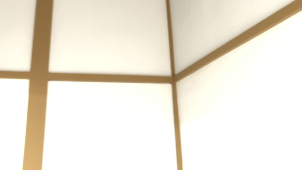 1回目の壁を塗った跡